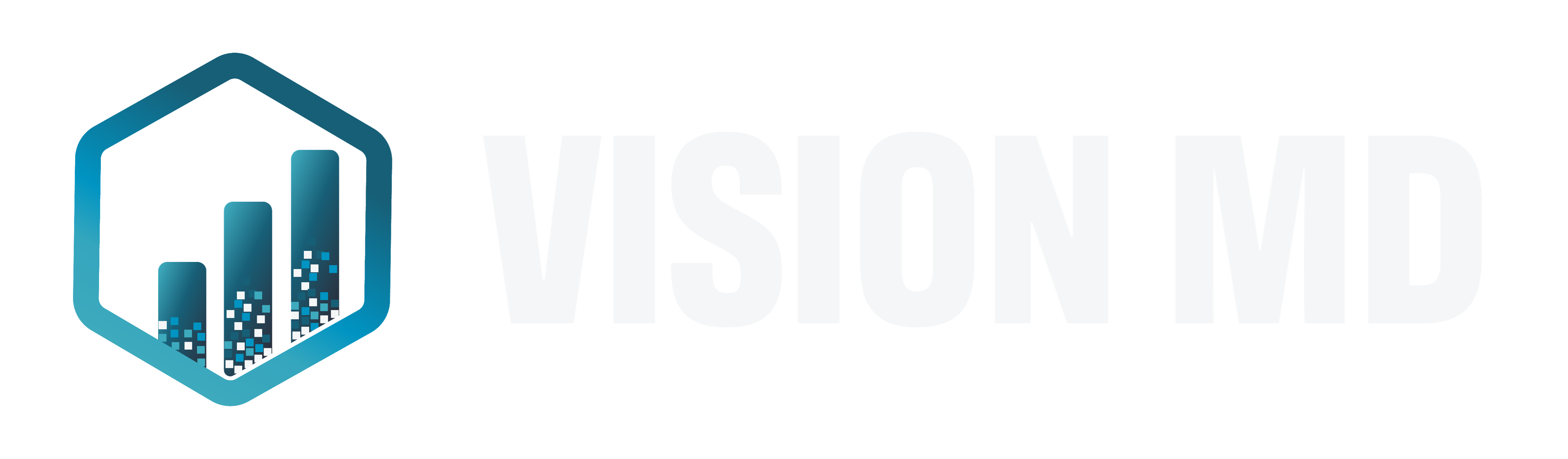 Vision